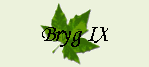 Bryg IX